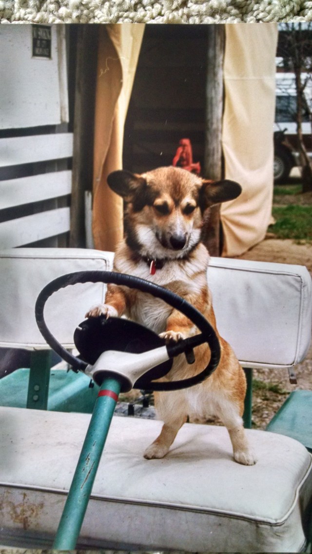 Young Elsie driving the golf cart