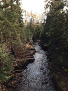 extra_large_97d7326bd909ad98137fa14611a6c403 (1)